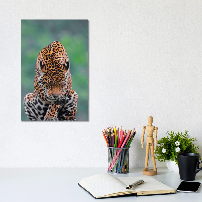 Jaguar III by Goran Anastasovski - Wrapped Canvas Print, 20.32 cm H x 30.48 cm W