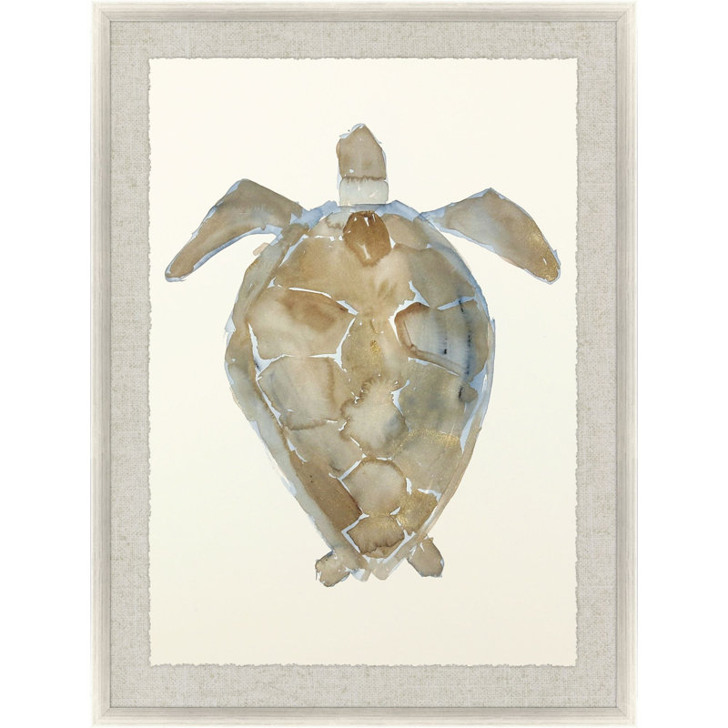 Neutral Turtle II