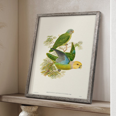 Lime&CeruleanParrotsI Framed Print - Solid Wood