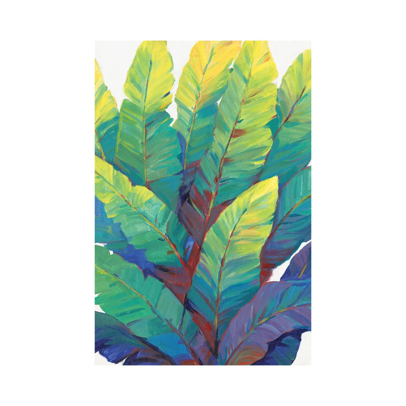 Sunlit Banana Leaves II by Tim OToole - Gallery-Wrapped Canvas Giclée on Canvas, Canvas, 30.48 cm H x 45.72 cm W