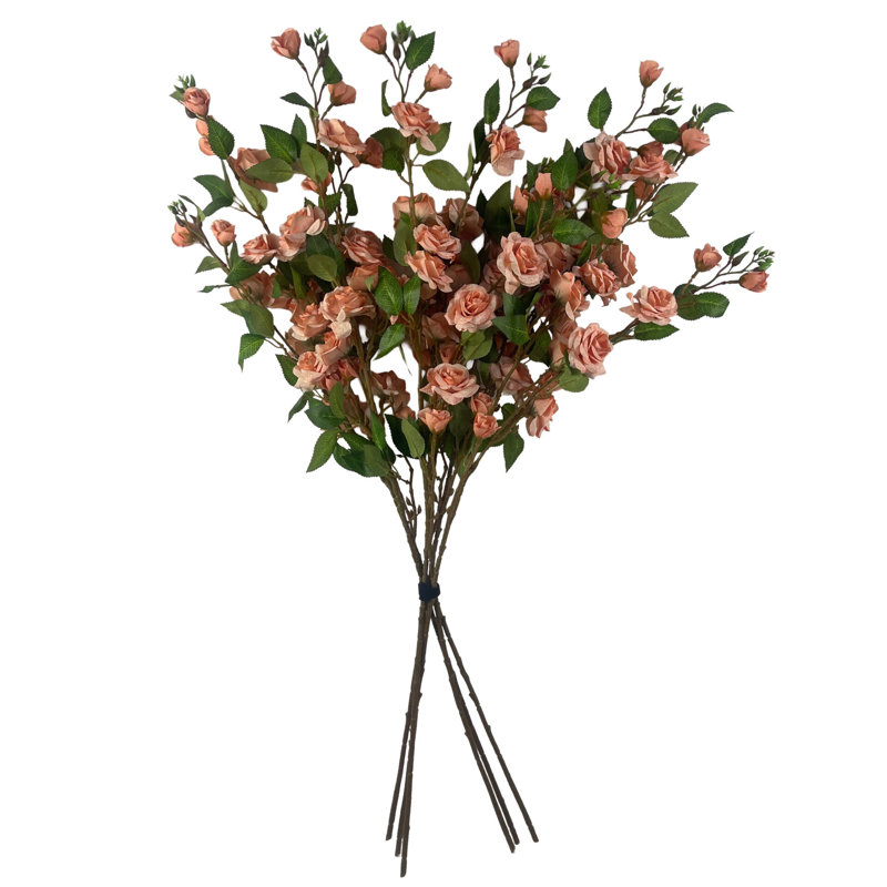 Antiqua Arrangement