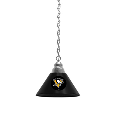 Luminaire suspendu conique 1 lumière NHL