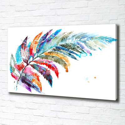 Colourful Feather - Wrapped Canvas Print