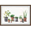 Succulents in Patterned Pots 1 Piece Single Picture Frame Painting-379089808