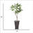 86'' Faux Fiddle Tree Tree