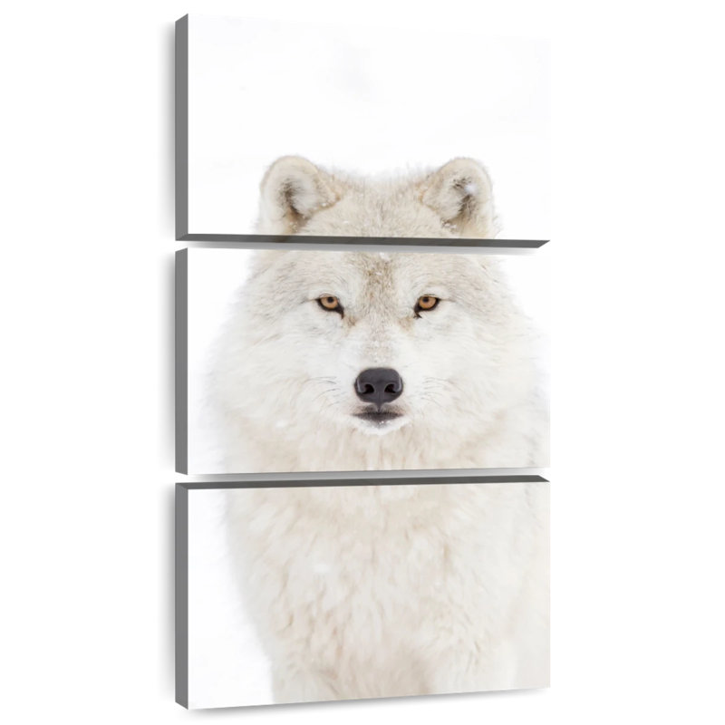 Loup arctique blanc neige, H 75 po x l 36 po