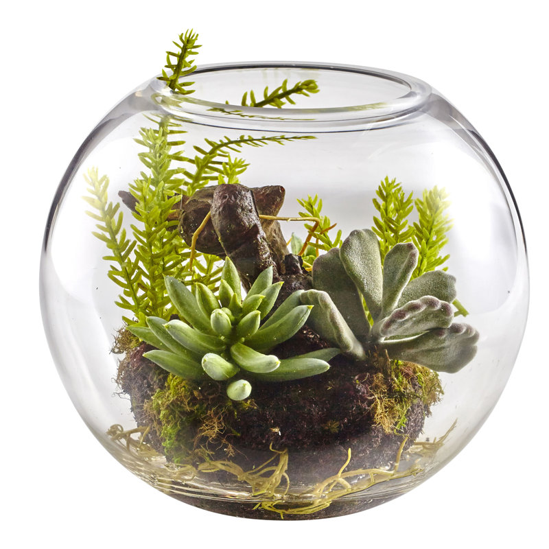 Mélangez une plante grasse dans un vase décoratif