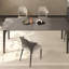 Chic charme des chaises de table en acier au carbone-105840499