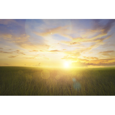 Grassland And Sunrise by Thekopmylife - Wrapped Canvas Print