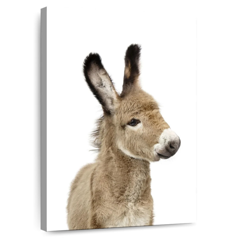 Brampt Baby Donkey, 48" H x 32" W