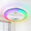 Ventilateur de plafond à profil bas à DEL avec ventilateur de plafond blanc avec lumière