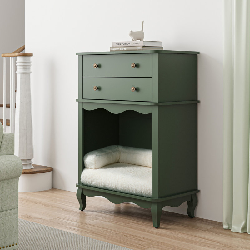 Armoire de rangement pour animaux, 2 tiroirs et espace semi-ouvert, litière cachée pour chat, table de bout multifonctionnelle - vert
