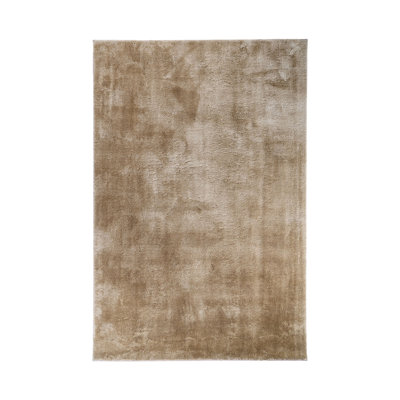 Isanotski Solid Colour Area Rug