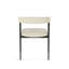 Chaise avec accoudoirs Evelio-1299162017-1299162046