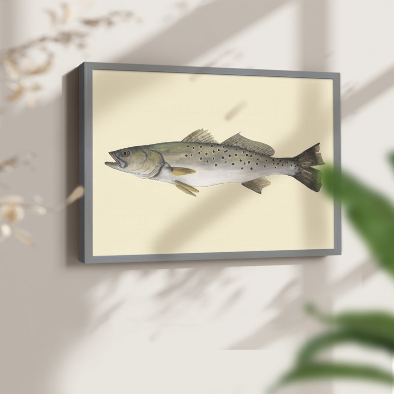«Saltwater Species II», reproduction encadrée, H 8 po x l 10 po, Gris
