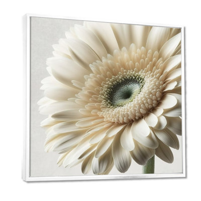 Gerbera blanche III - art mural Gerbera