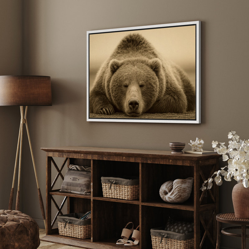 «Sleeping Brown Bear», reproduction d'art sur toile encadrée, sépia, H 16 po x l 24 po, Cadre flottant blanc