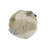 Cotton Woods Upholstered Pouf
