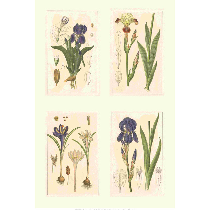 Miniature Botanicals I, H 18 po x l 12 po