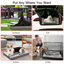 Lit pour chien Carolee