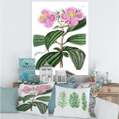 «Vintage Plant Life XXIII», peinture sur toile