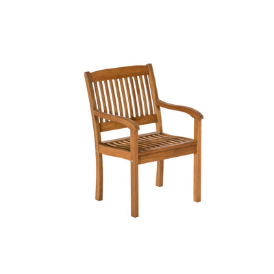 Adabpreet Patio Dining Armchair