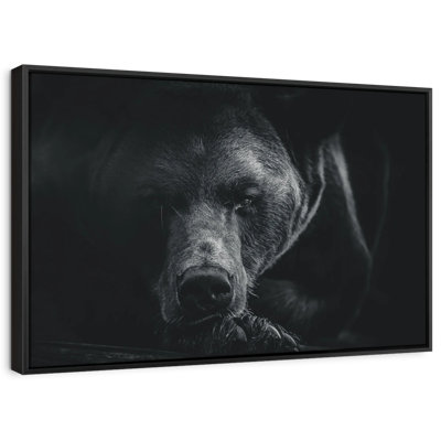 Monochrome Brown Bear Canvas Print