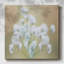 Baby's Breath Study II-51310683