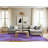 Indoor Rug