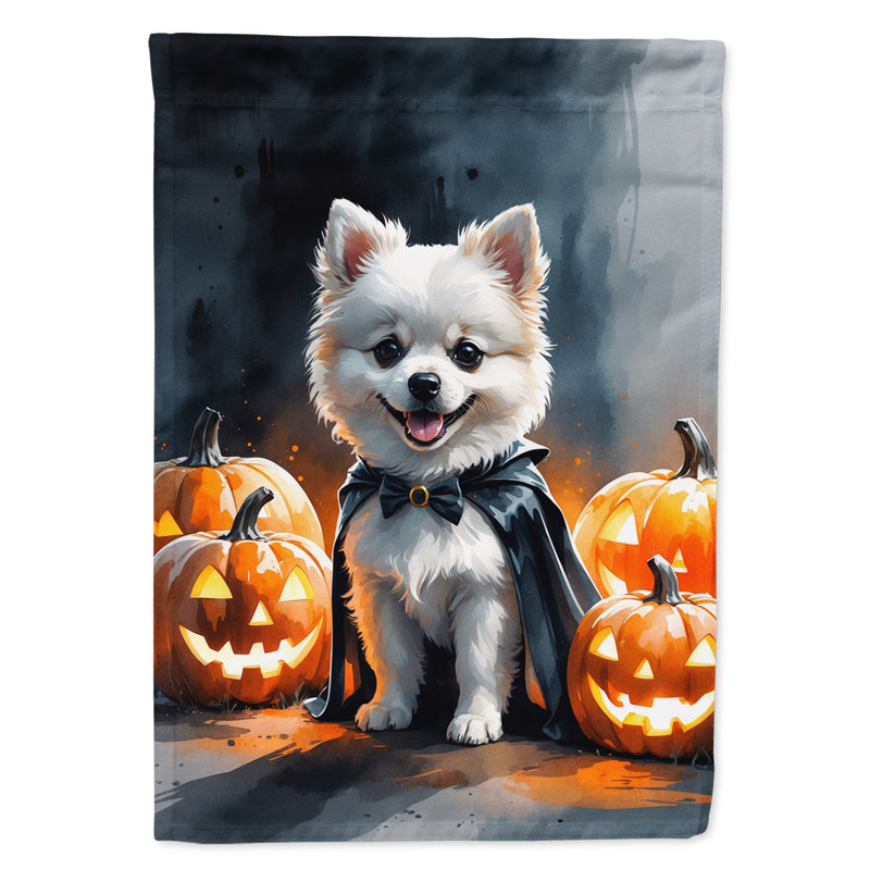 Drapeau de jardin chiot Halloween, Poméranien blanc