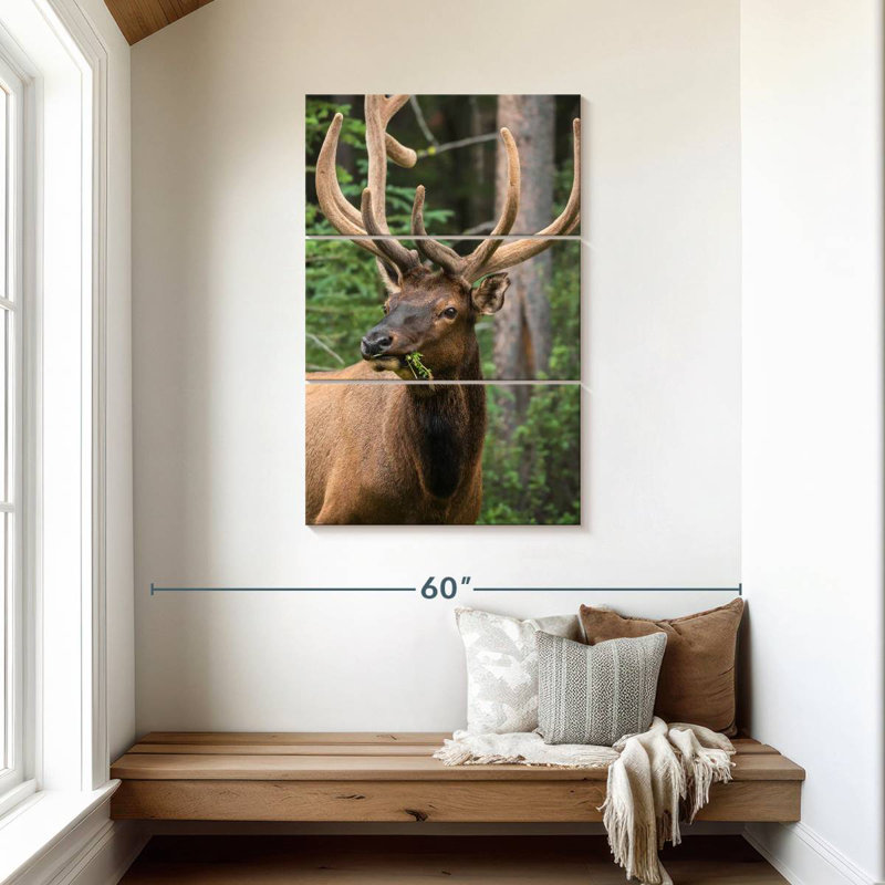 Brampt Wapiti Elk
