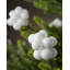 11cm Solid Colour Plastic / Acrylic Ball Ornament-834390393