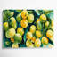 «Fruit Calamansi Brown», art mural sur toile-462751923