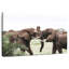 Brampt jouant des éléphants-107707987