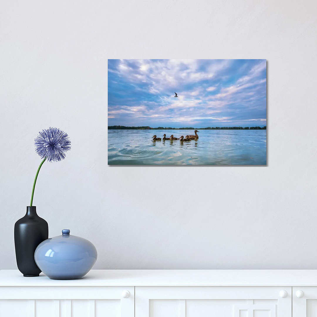 Mallard Ducks by Mateusz Piesiak - Wrapped Canvas Gallery-Wrapped Canvas Giclée