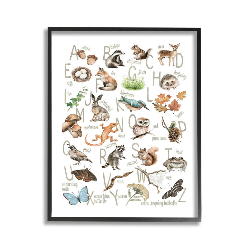 «Woodland Nature Alphabet», estampe numérique par Ziwei Li, Estampe numérique Farmhouse, H 14 po x l 11 po