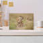 African Lion Family Contemporary Cat Lion Nature Wildlife Wall Art Print by Jeffrey C. Sink - 1 Piece Wrapped Canvas Wall Art-15319402