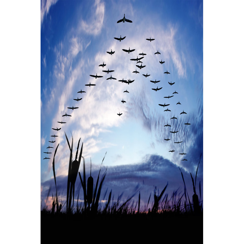 Migrating Canada Geese - Wrapped Canvas Print, 122cm H x 81cm W x 3.8cm D
