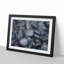 Black Pebbles - Picture Frame Graphic Art Print-55686469-55686478