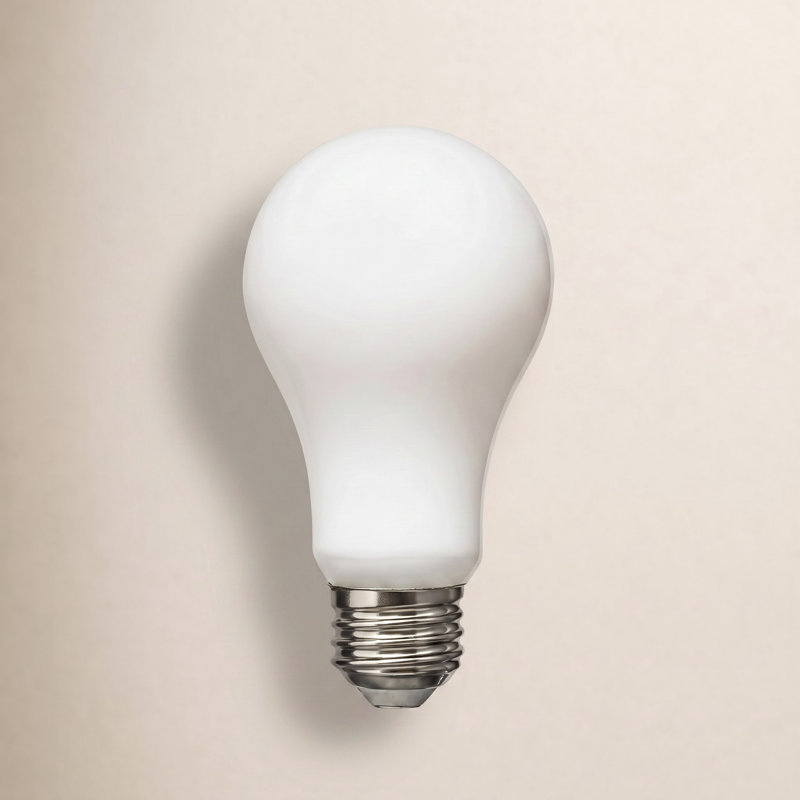 Ampoule à culot moyen E-26 à culot moyen de 11 W à DEL A19 de Visual Comfort & Co., 2700 Kelvins, 11 W, 1100 lumens