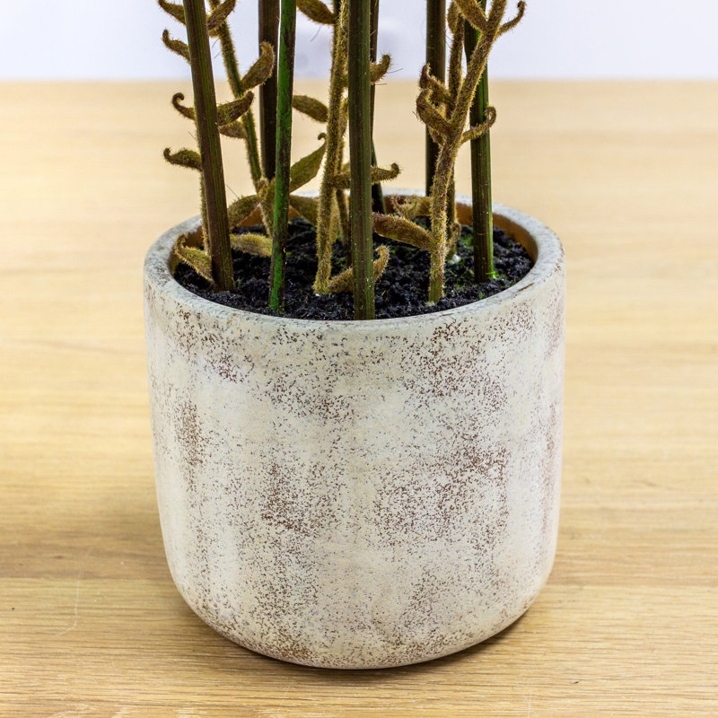 107cm Faux Fern Plant in Cement Pot