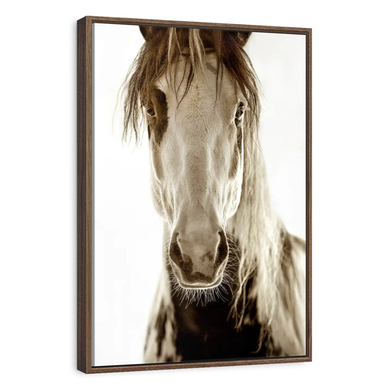 Wilbur Cruz, 29" x 43", Cadre flottant noyer