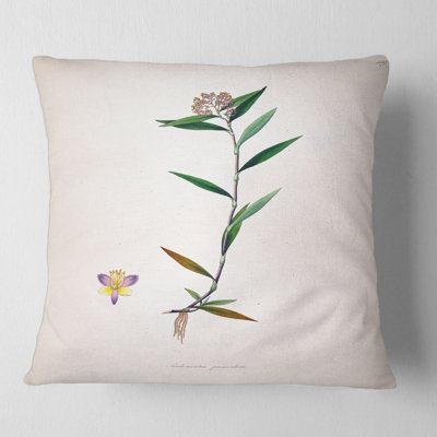 Botanicals XIX Square Pillow Cover and Insert