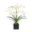 Faux Orchid Plant In White Vase-1049804021-1049804022