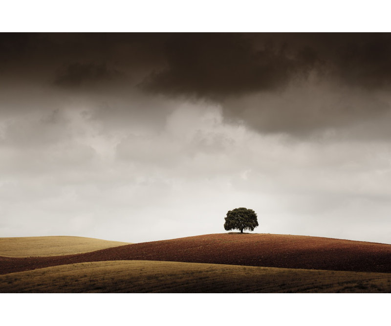 Wrapped Canvas Print, 50.8 cm H x 76.2 cm W