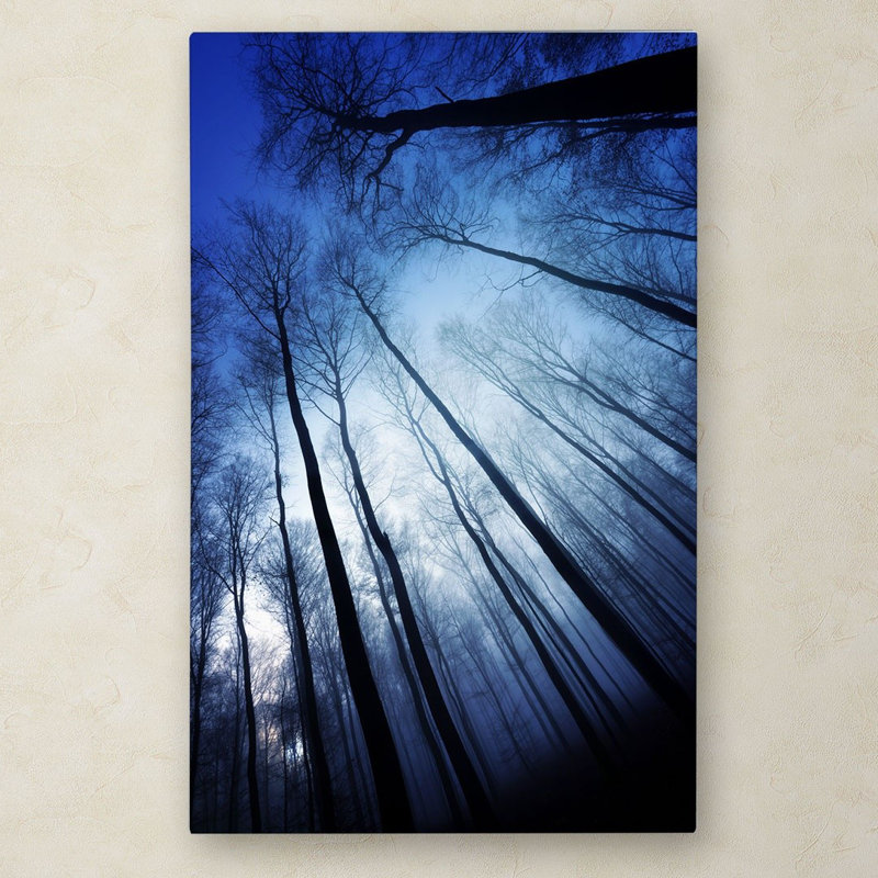 Blue Forest Landscape Canvas Art by Philippe Sainte-Laudy