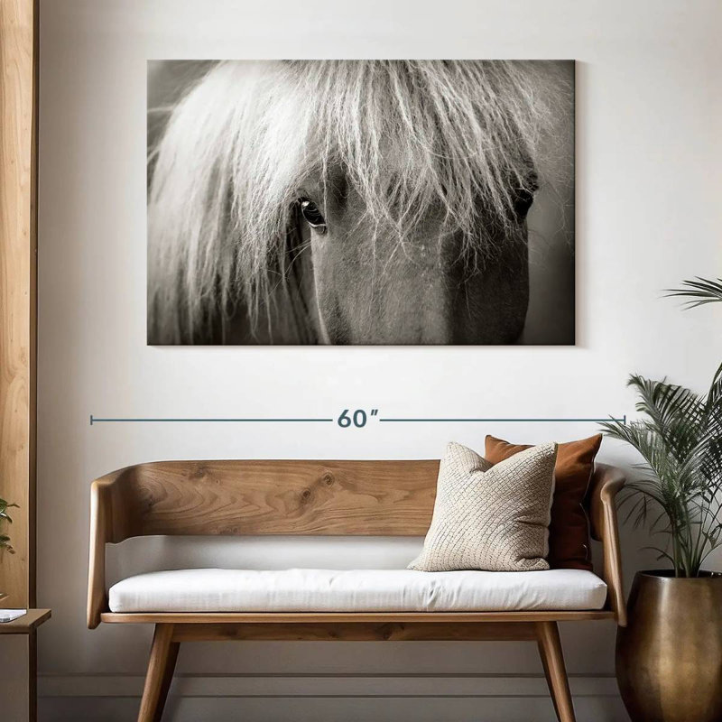 Brampt Icelandic Horse Up Close
