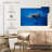 Brampt Swimming Dolphin Pair-107841180