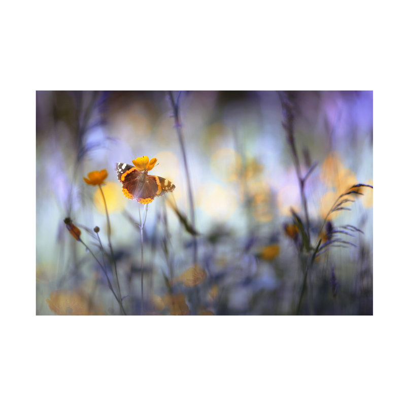 Heidi Westum In A Meadow Canvas Art, H 12 po x l 19 po