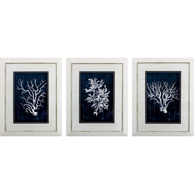 " Wood Coral " 3 - Pieces